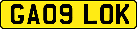GA09LOK