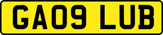 GA09LUB