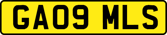 GA09MLS
