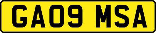 GA09MSA