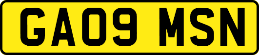 GA09MSN