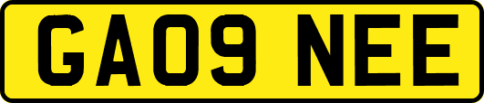 GA09NEE
