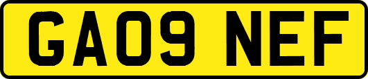 GA09NEF