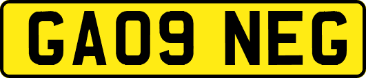 GA09NEG