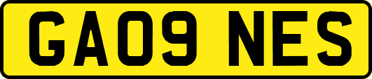 GA09NES