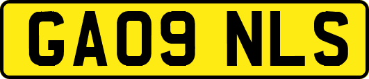GA09NLS