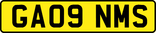 GA09NMS