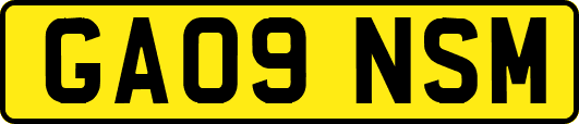 GA09NSM