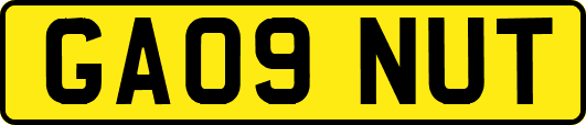 GA09NUT