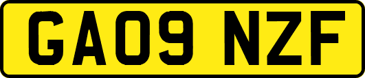 GA09NZF