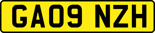 GA09NZH