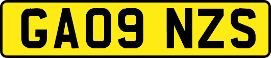 GA09NZS