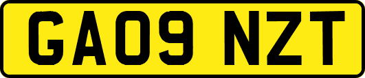 GA09NZT