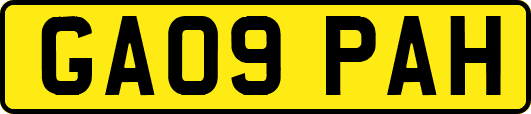 GA09PAH