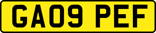 GA09PEF