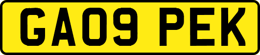 GA09PEK