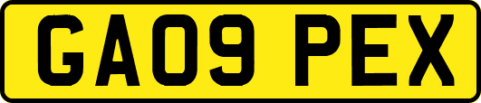GA09PEX