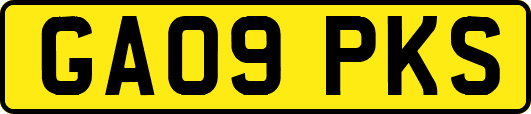 GA09PKS