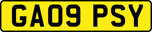 GA09PSY