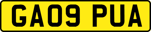 GA09PUA
