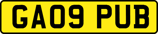 GA09PUB