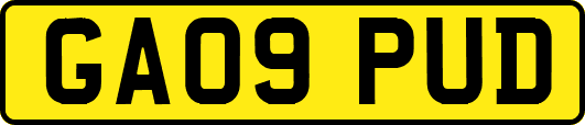 GA09PUD