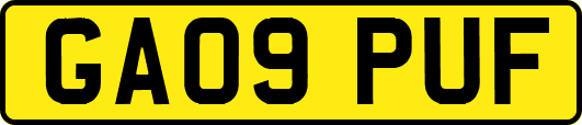 GA09PUF
