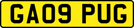 GA09PUG