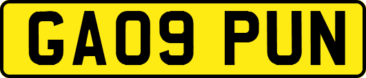 GA09PUN