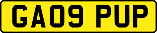 GA09PUP