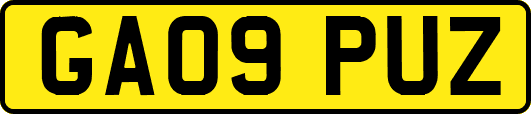 GA09PUZ