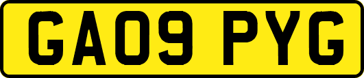 GA09PYG