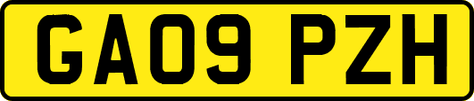 GA09PZH