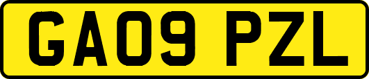 GA09PZL