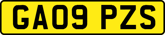 GA09PZS