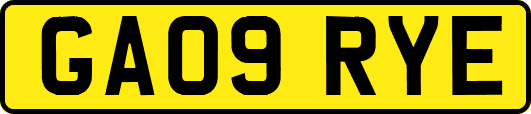 GA09RYE