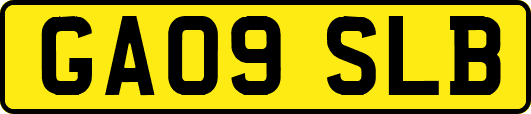 GA09SLB