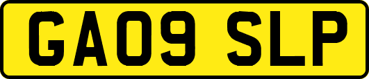 GA09SLP