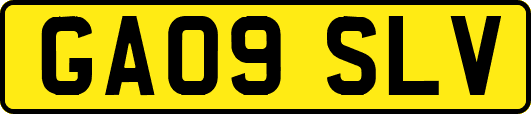 GA09SLV