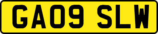 GA09SLW