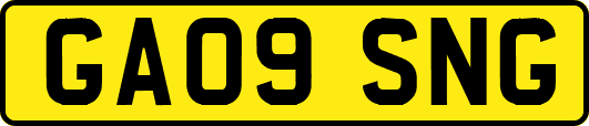 GA09SNG
