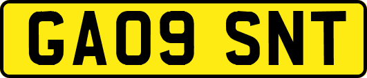 GA09SNT