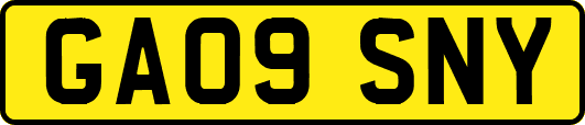 GA09SNY