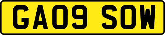 GA09SOW