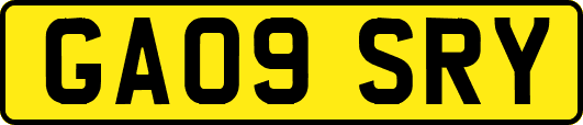 GA09SRY