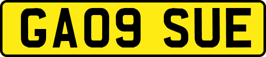 GA09SUE