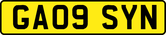 GA09SYN