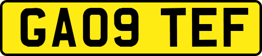 GA09TEF