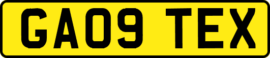 GA09TEX