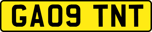 GA09TNT